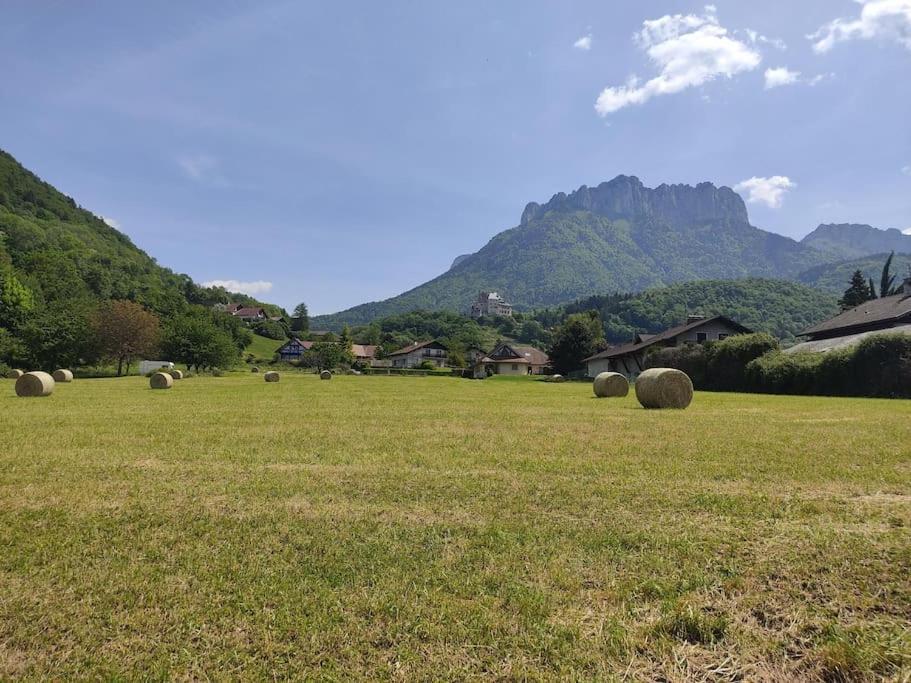 Bel Au Calme A 5 Minutes Du Village Apartment Menthon-Saint-Bernard
